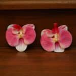 Tropical Butterfly Blooms - Pink