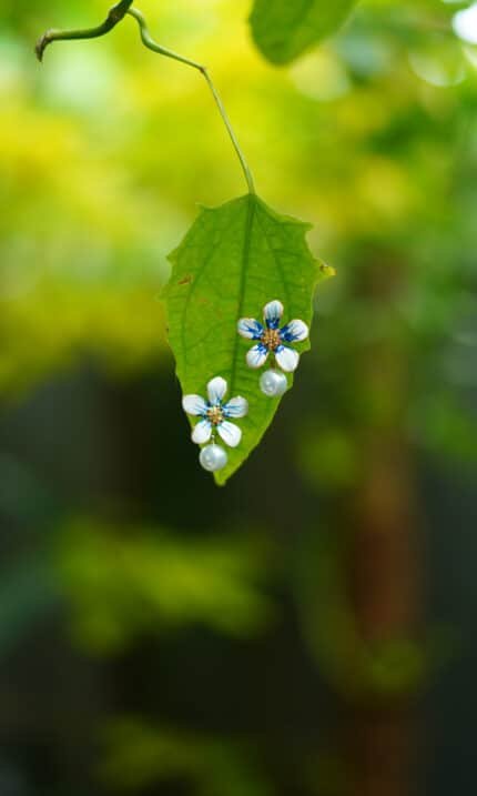 Floral Grace Studs - Blue
