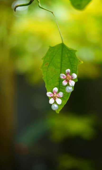 Floral Grace Studs - Pink