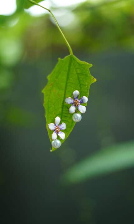 Floral Grace Studs - Purple
