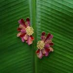 Sculpted Bloom Earrings - Red